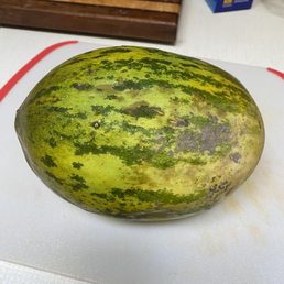 Christmas Melon