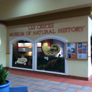 Museum Of Nature & Science