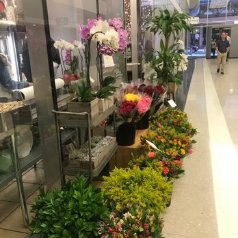 Urban Flowers Chicago - I used to work across the street, walking by their store was my favorite thing every morning - Florists Near Me - Chicago, Illinois