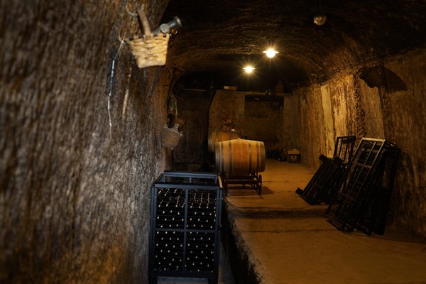 Rioja Wine Tours by null