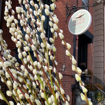 Flores Mantilla - Florists Near Me - Boston, Massachusetts Flores Mantilla - Florists Near Me - Boston, Massachusetts