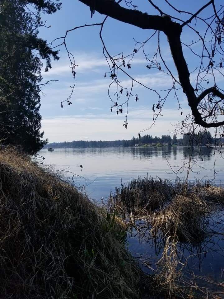 SPANAWAY PARK TRAIL Updated September 2024 95 Photos 14904
