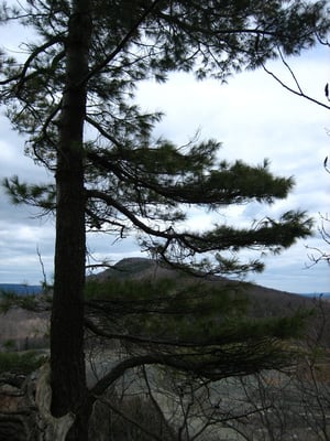 Mount Holyoke Range State Park by null