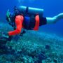 Photo of By The Shore SCUBA Instruction