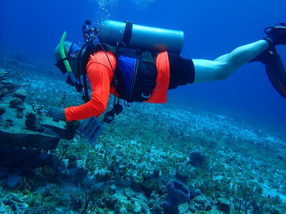 By The Shore SCUBA Instruction Logo