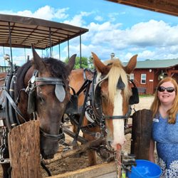 Horse drawn carriage ride, well worth the price, everyone gets a full bucket of food to feed the animals!
