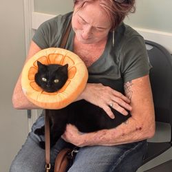 Pets In Need of Greater Cincinnati