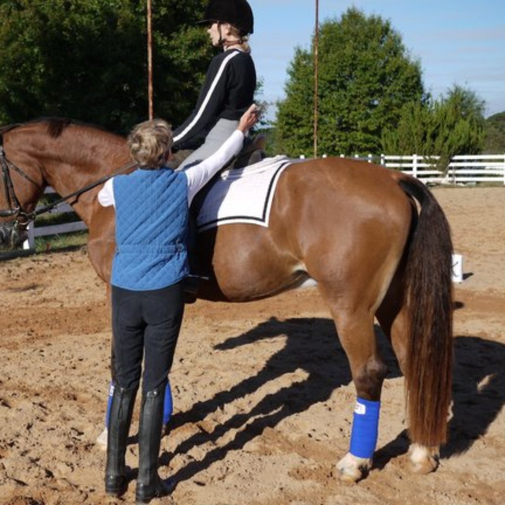 Susan Stedman Equestrian Training - Horseback Riding Near Me - Covington, Georgia