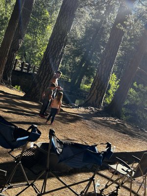 Housekeeping Camp by null