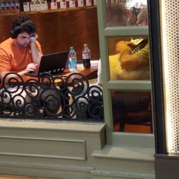 A dog sitting on top of a dining table! Disgusting and Unsanitary!
