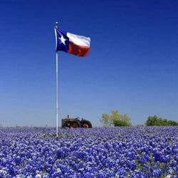 Tony’s Pizza & Pour House - Texas spring