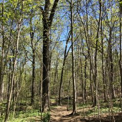 Saxon Woods Park