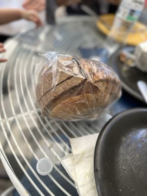 Rooster Boy Cafe by null