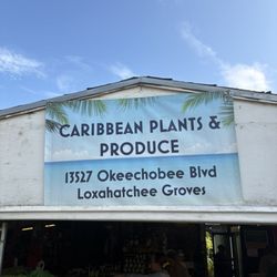 Caribbean Plants and Produce