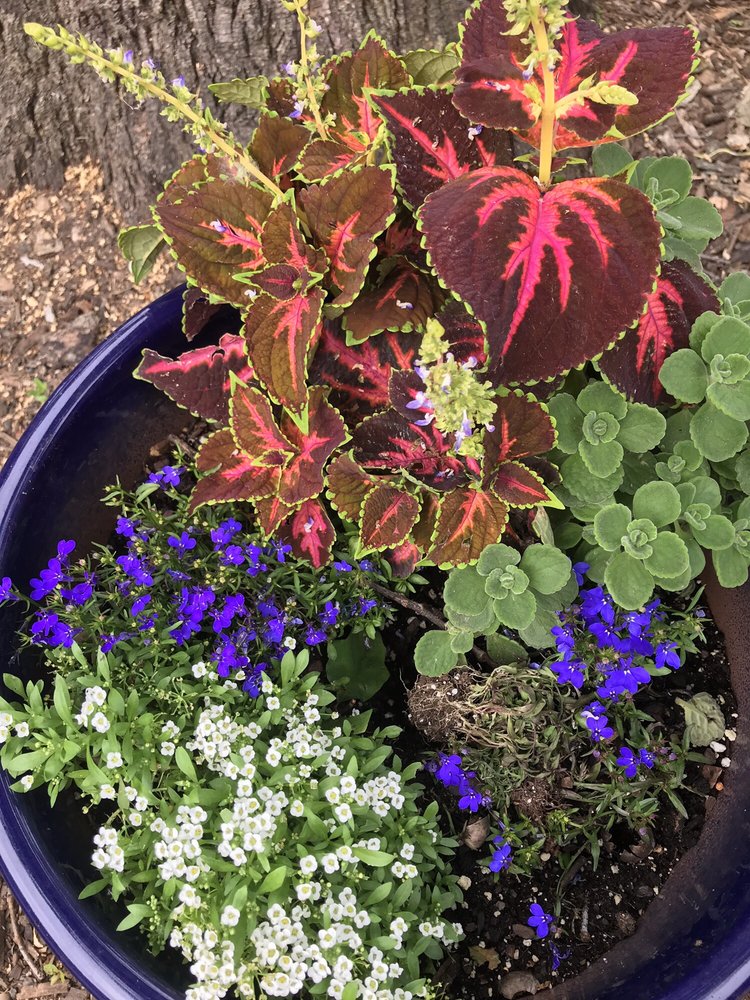 YOGI BEAR’S JELLYSTONE PARK CLOSED 35 Photos & 57 Reviews 8574