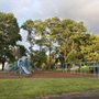 Spencer Shank Memorial Park