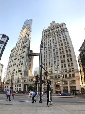 The Wrigley Building by null