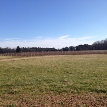 Cogdal Vineyards - Wineries Near Me - South Haven, Michigan