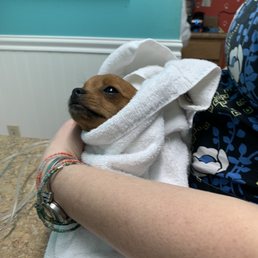 Poor baby Tumtum.