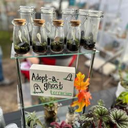 Vintage Plant Company - Adopt-a-Ghost Terrariums