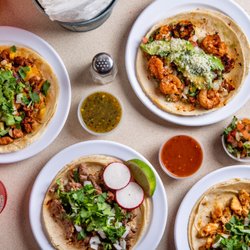 Homemade Taqueria Great Neck