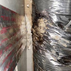 Howard Environmental - Home mold inspection cedar park