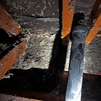 Option One Plumbing - Wood rot in attic. But they couldn't find the leak. - Plumbing Near Me - Rancho Cucamonga, California Option One Plumbing - Wood rot in attic. But they couldn't find the leak. - Plumbing Near Me - Rancho Cucamonga, California