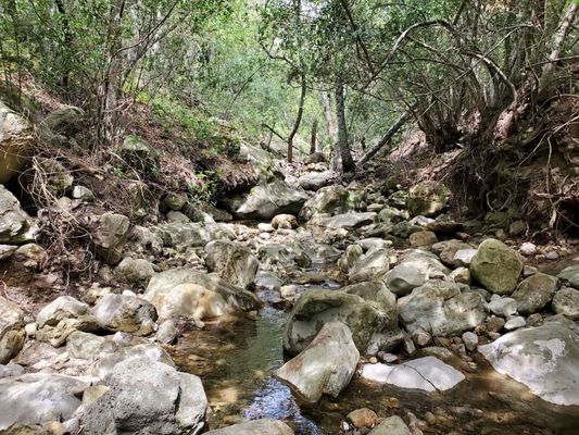 Chumash Painted Cave State Historic Park by null