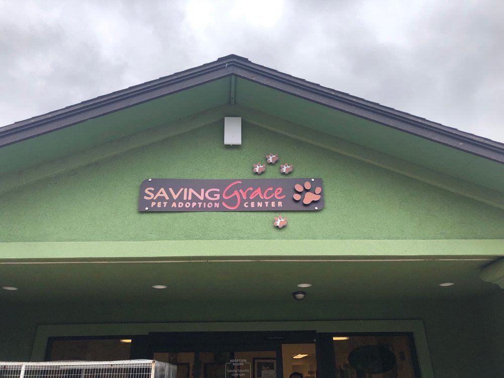 SAVING GRACE PET ADOPTION CENTER 450 Old Del Rio Rd, Roseburg, Oregon