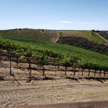 Alta Colina - a vineyard with rows of vines - Wineries Near Me - Paso Robles, California
