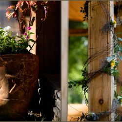Silver City Farm