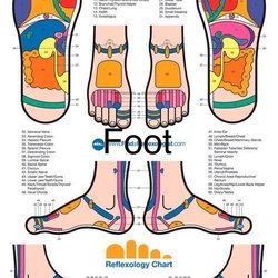 New Dragon Reflexology