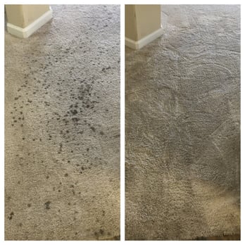 Champs Carpet - Before and after - this literally took about 30m. Blew my mind. - Carpet Cleaning Near Me Champs Carpet - Before and after - this literally took about 30m. Blew my mind. - Carpet Cleaning Near Me