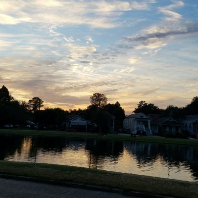 Bayou St John by null