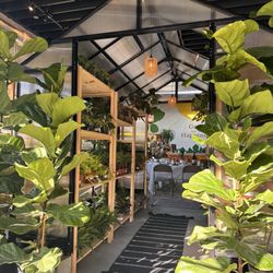 Sun and Soil Plant Parlor - The new walk through greenhouse they just added!
