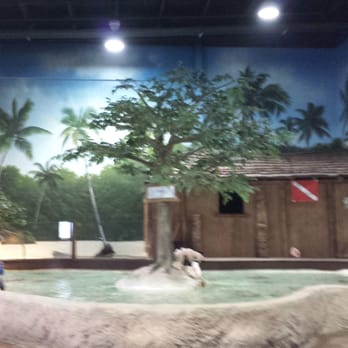 Long Island Aquarium - Aquariums Near Me - Riverhead, New York Long Island Aquarium - Aquariums Near Me - Riverhead, New York