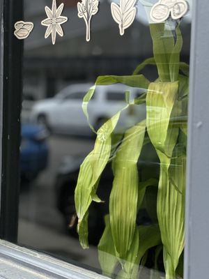 Rooted Rotisserie by null