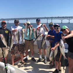 Annapolis Fishing Charters