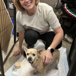 Forever Loved Pet Sanctuary