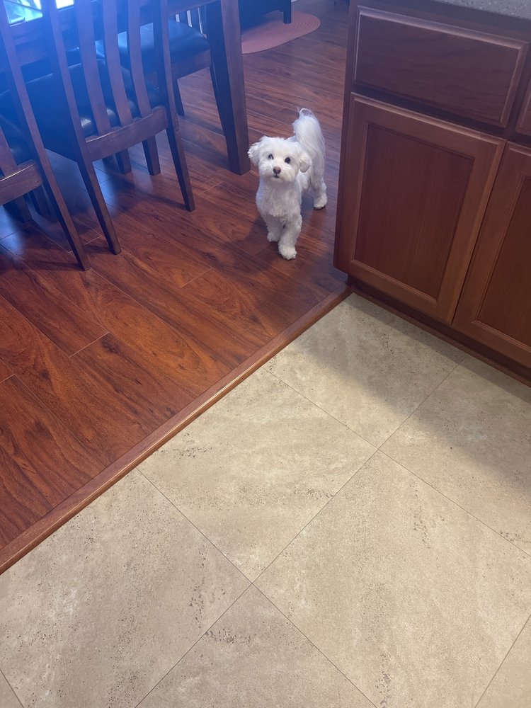 PASSION FUR PETS MOBILE GROOMING SALON Updated October 2024 25