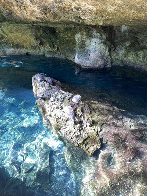 Gran Cenote by null
