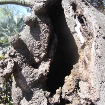 Desert Garden - Parks Near Me - San Diego, California