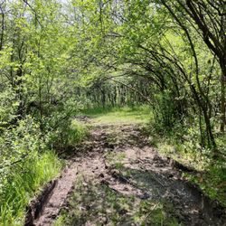 Inglenook Park