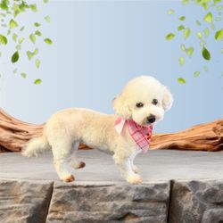 4 Perfect Pawz - Poodle grooming
