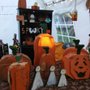 Photo of Willy Tee's Pumpkin Patch