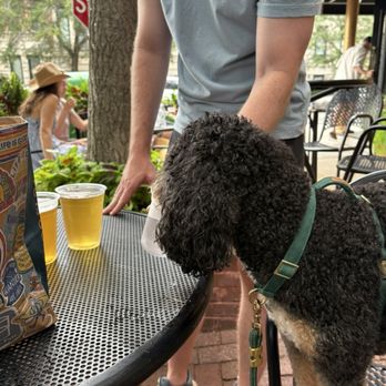 River Shannon - Outdoors - Irish Pub Near Me - Chicago, Illinois