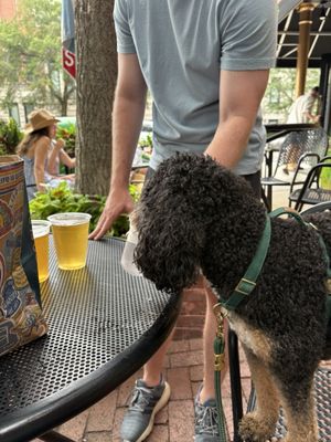 River Shannon by null