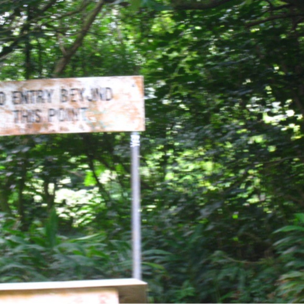 Lulumahu Falls - Go up the stairs beyond this sign - Hiking Near Me - Honolulu, Hawaii Lulumahu Falls - Go up the stairs beyond this sign - Hiking Near Me - Honolulu, Hawaii