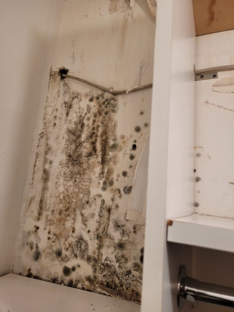 Slide of Whac A Mold