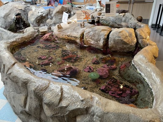 Hatfield Marine Science Center Oregon State University by null